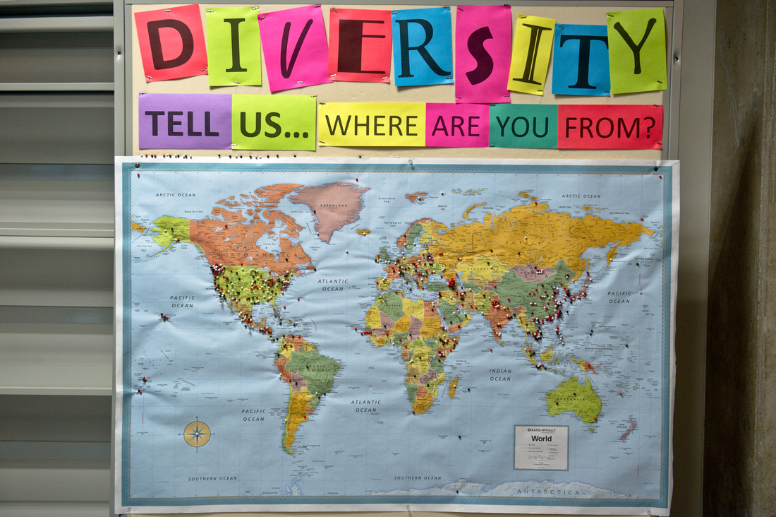 Library Diversity Map Display